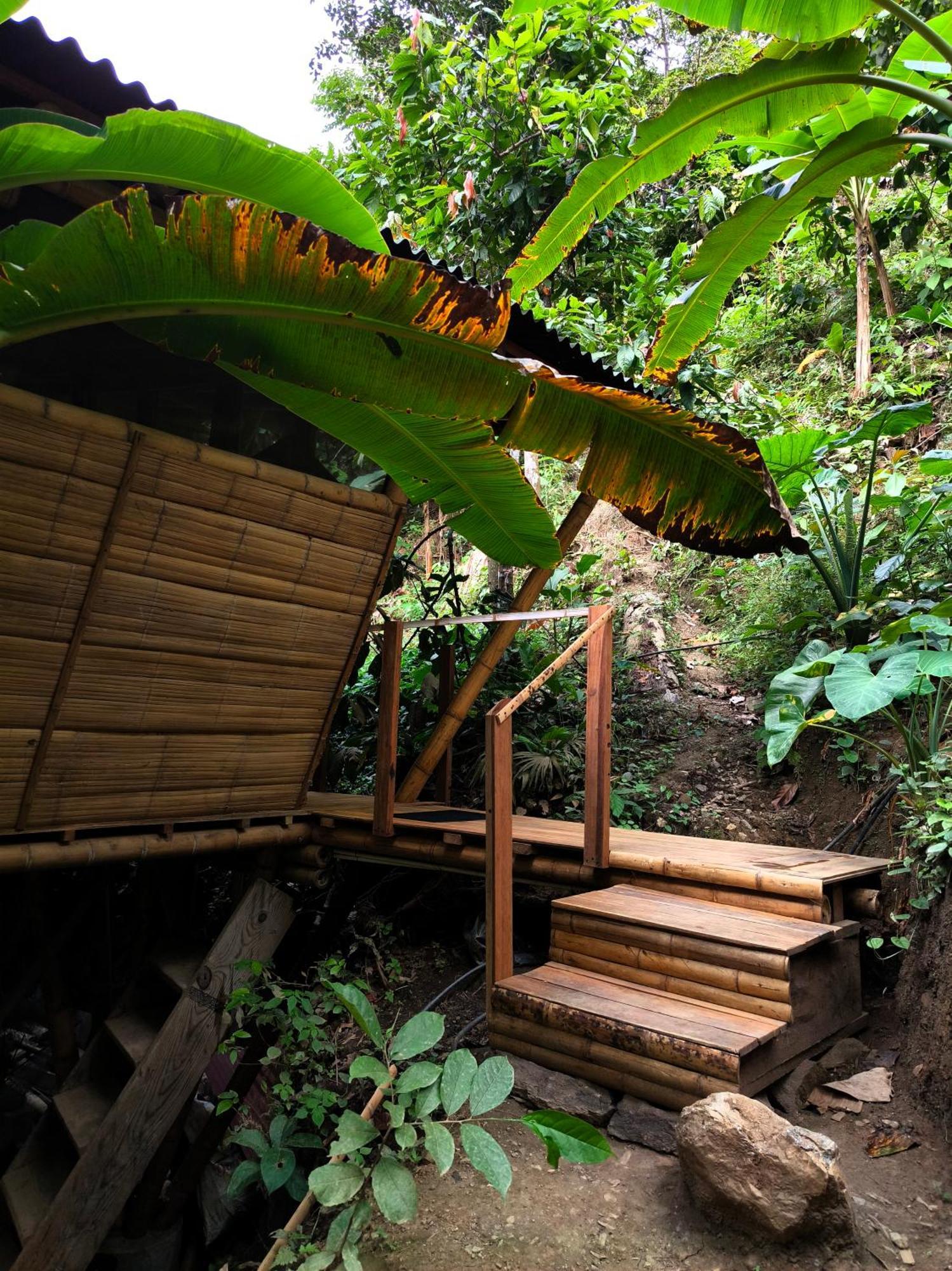 Finca La Selvita Chocolate Experience Buritaca Exterior photo