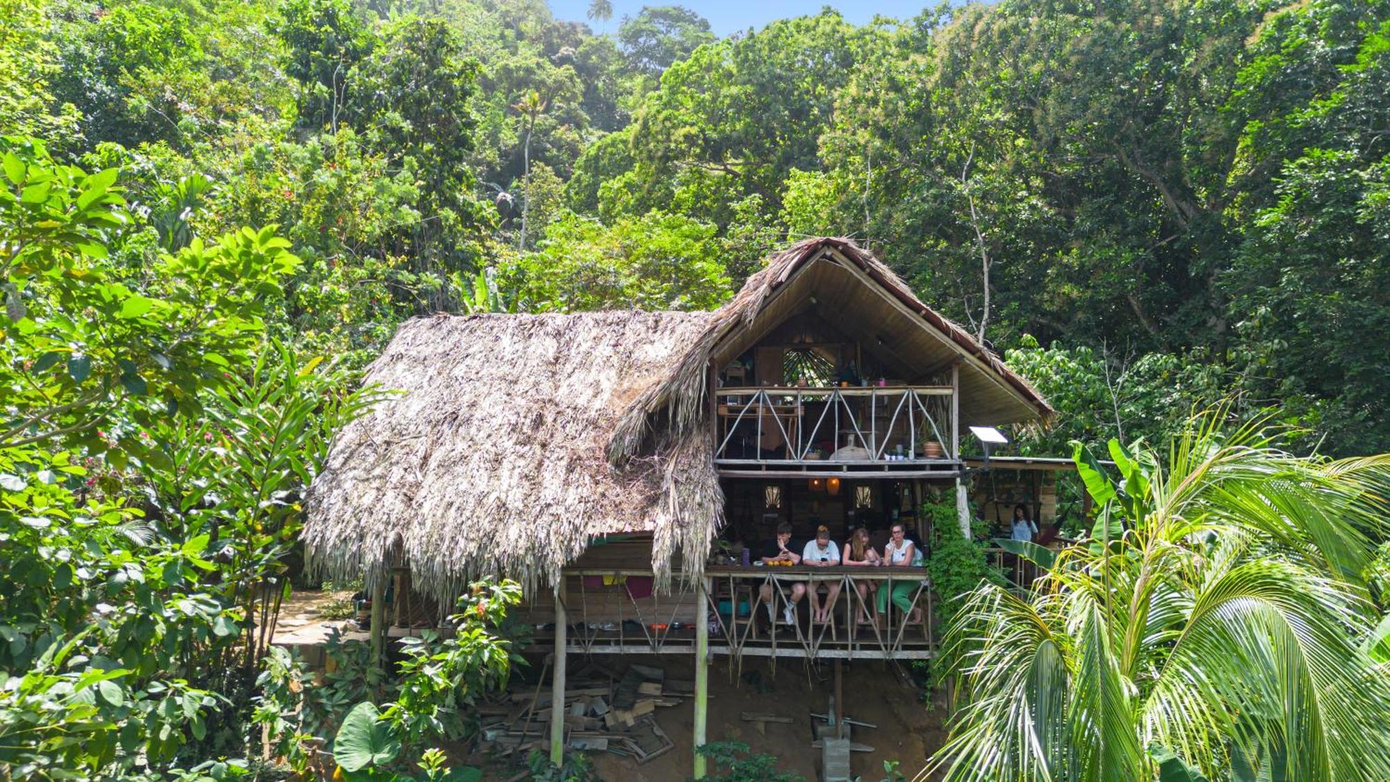 Finca La Selvita Chocolate Experience Buritaca Exterior photo
